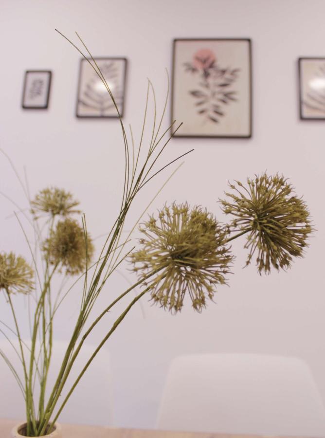 Cuenca Home Eksteriør billede